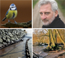 Compilatie diverse fotografen. Copyright via Biesbosch.nu