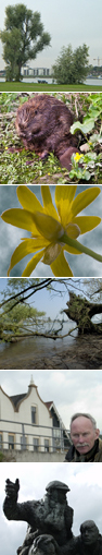 Compilatie diverse fotografen. Copyrights (via) Biesbosch.nu