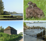 Compilatie verschillende fotografen. Copyright via Biesbosch.nu