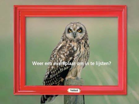 Copyright De Vogelstichting