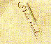 Steek met de naam Steursteek een kaart van Stampion, Dou en Van Innevelt 1642. Ntaionaal archief Den Haag