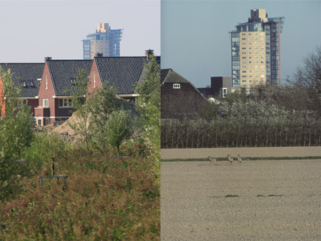 Bebouwing op het Eiland van Dordrecht. Copyright Jacques van der Neut.