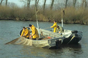 Vissers in De Biesbosch. Copyright; Bert van Dijk/www.stockburo.nl