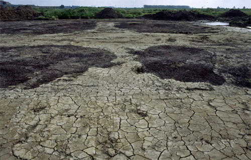 Veeneilanden polder Nieuwland. Copyright Cees van der Esch.