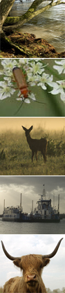 Compilatie diverse fotografen.