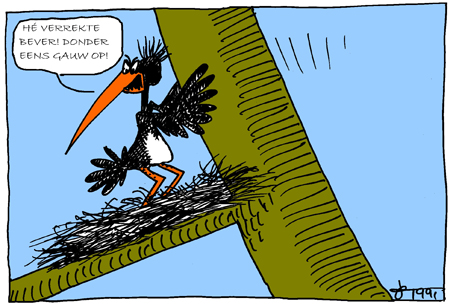 Strip. Copyright. Daan Bruysters.